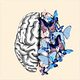 Feed Your Mind - Your Brain on Nutrients