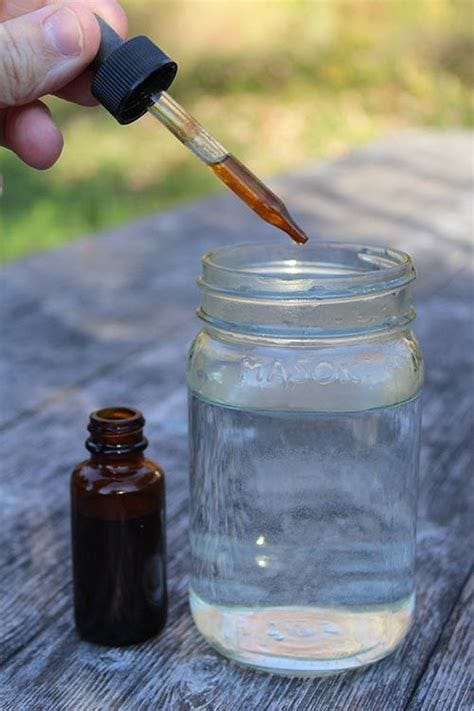 How To Make Your Own Herbal Tincture - Ask a Prepper