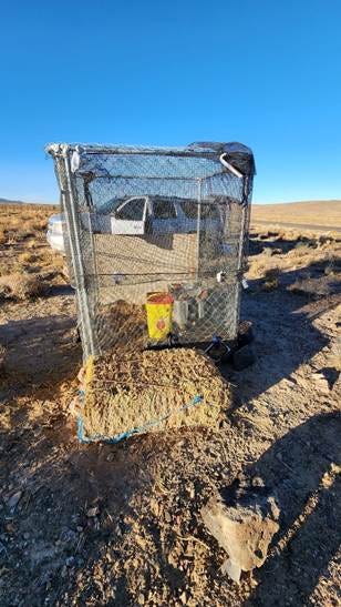 Kennel trap that Charlie built to trap the cats