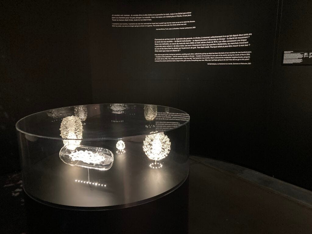 Exposition Épidémies : Prendre soin du vivant au musée des Confluences de Lyon : la Covid