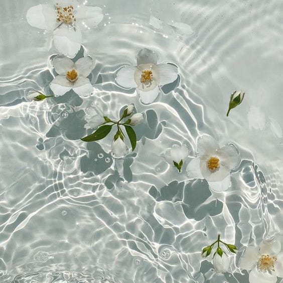 d'autres histories par Pauline Darley