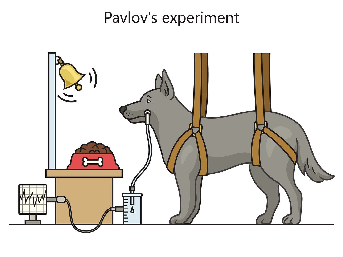 Pavlov's Dogs Experiment & Pavlovian Conditioning Response