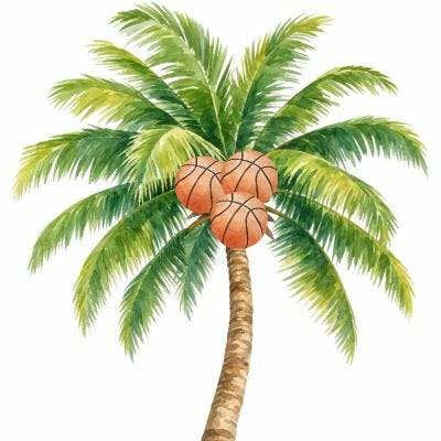 Palm Side Notes | Substack