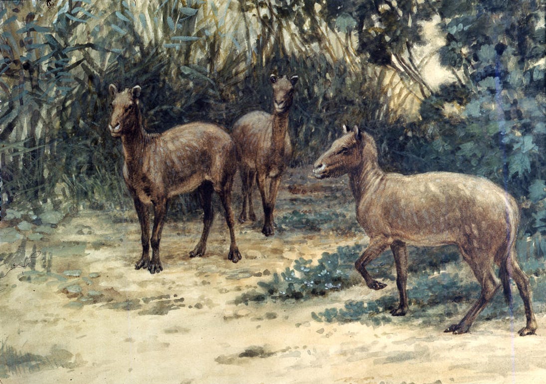 a painting of weird tiny sheep horse dog things a painting of weird tiny sheep horse dog things
