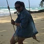 Fernanda Mello's avatar