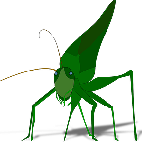 The Grasshopper