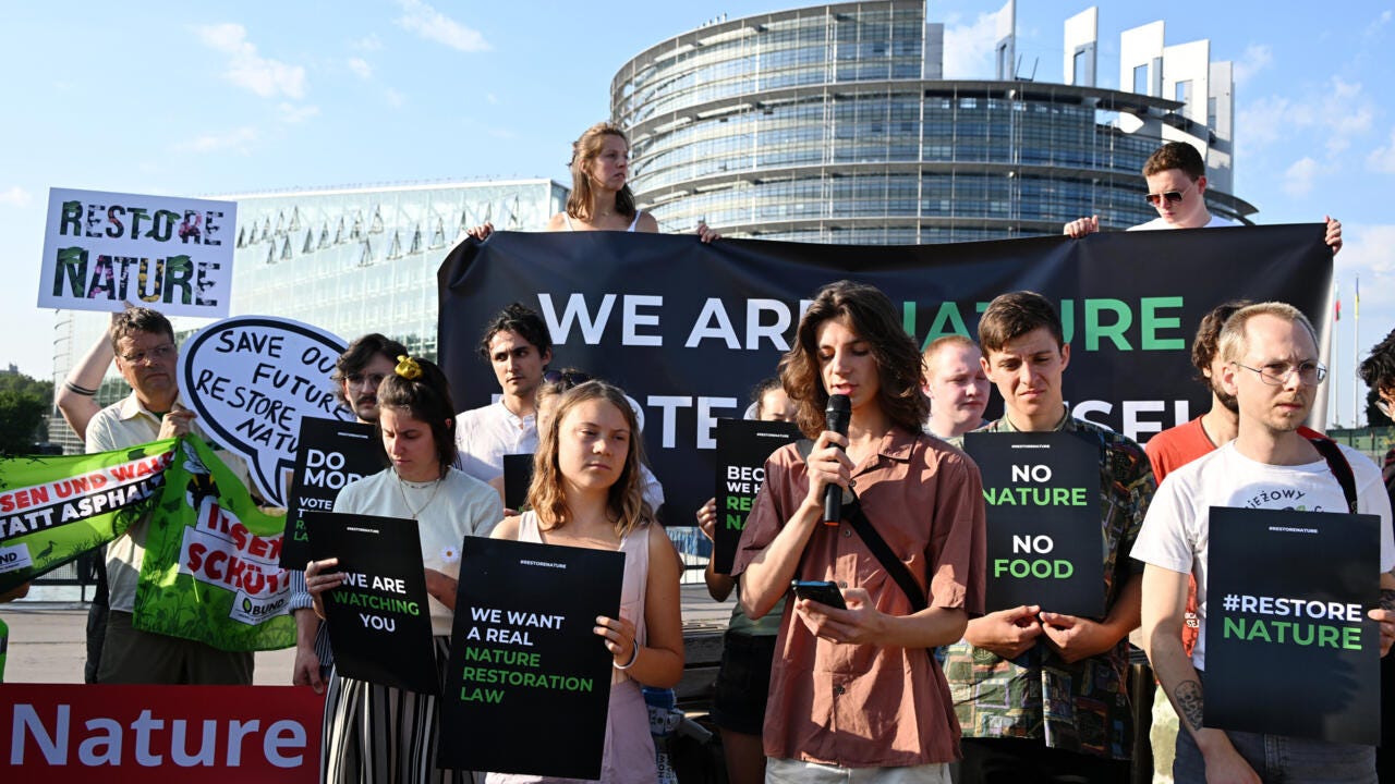 Restoring nature: the moment of truth for a pillar of the European Green  Deal - Teller Report