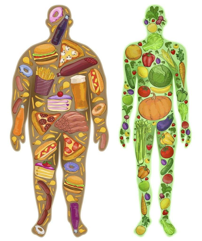 Understanding Your Metabolism | Corinne Olsen Coaching Understanding Your Metabolism | Corinne Olsen Coaching