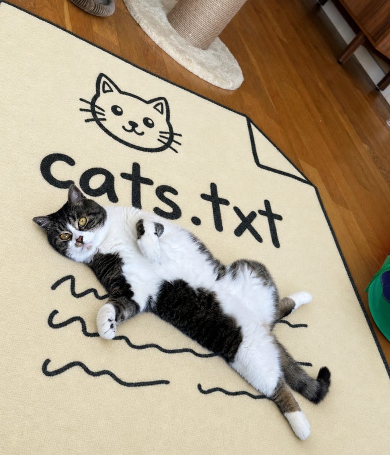 Image 7: A tabby and white cat lying on its back on a cream rug designed to look like a document labeled