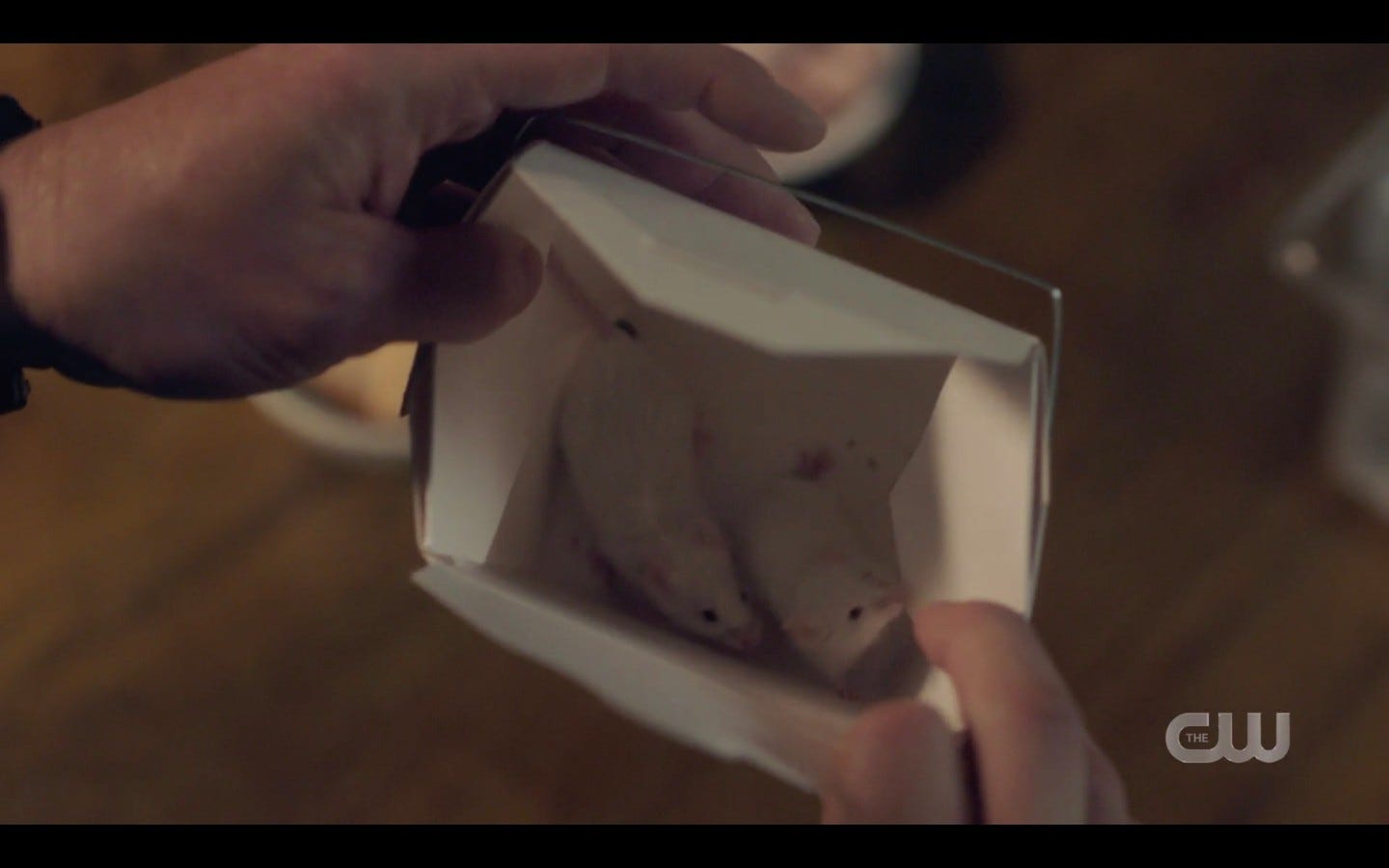 Supernatural 1415 Dean opens box of white mice to feed snake Supernatural 1415 Dean opens box of white mice to feed snake