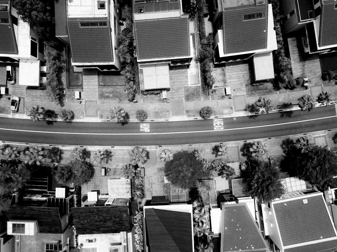 aerial photo of brown roof houses