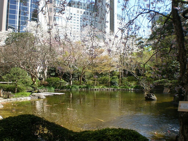 Cherry Blossom at the Prince Sakura Tower Hotel Cherry Blossom at the Prince Sakura Tower Hotel