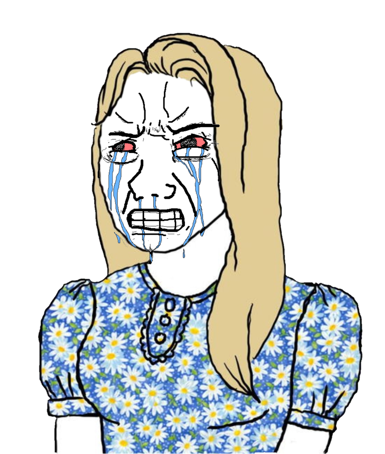 Crying tradwife by couillosaure on DeviantArt