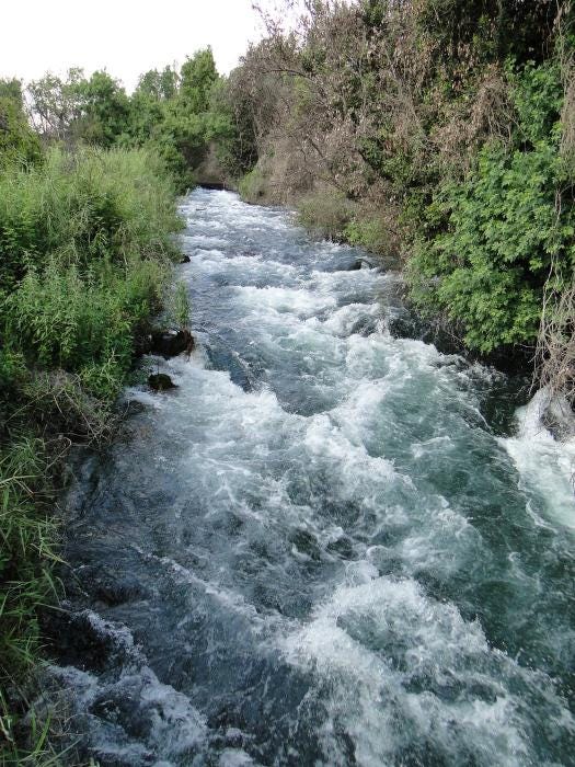 Tel Dan Springs & Nature Reserve : Northern Israel | Visions of Travel