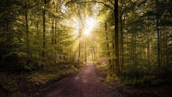 Non-Drug Treatments for Depression & Anxiety