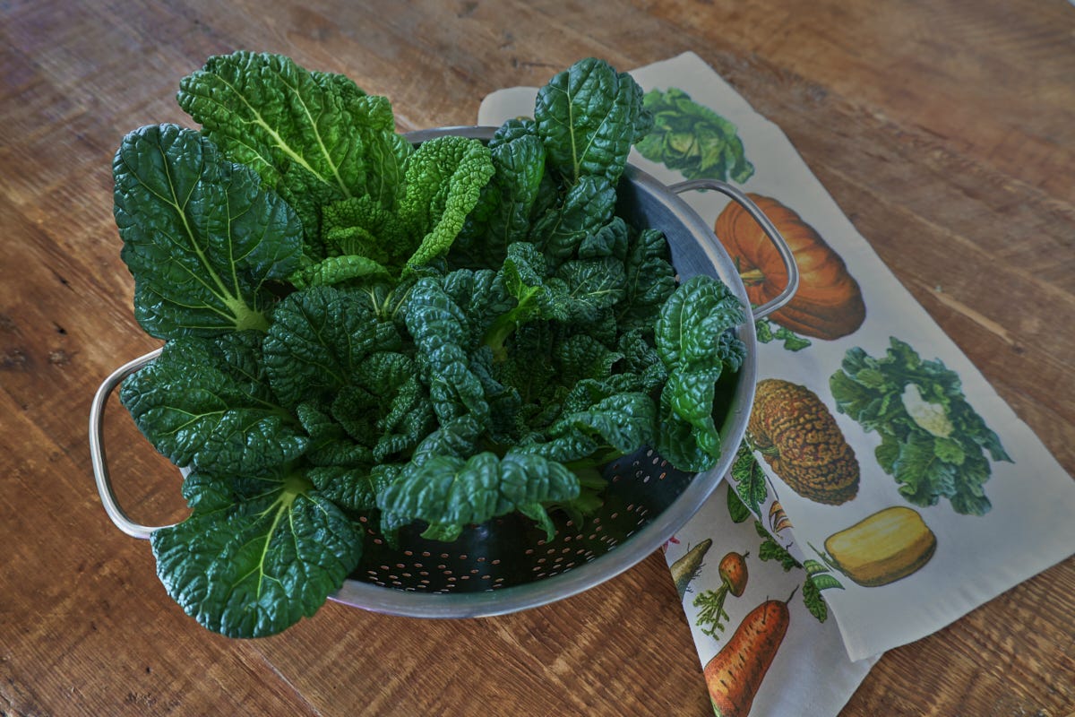 chijimisai in a colander with a kitchen towel chijimisai in a colander with a kitchen towel