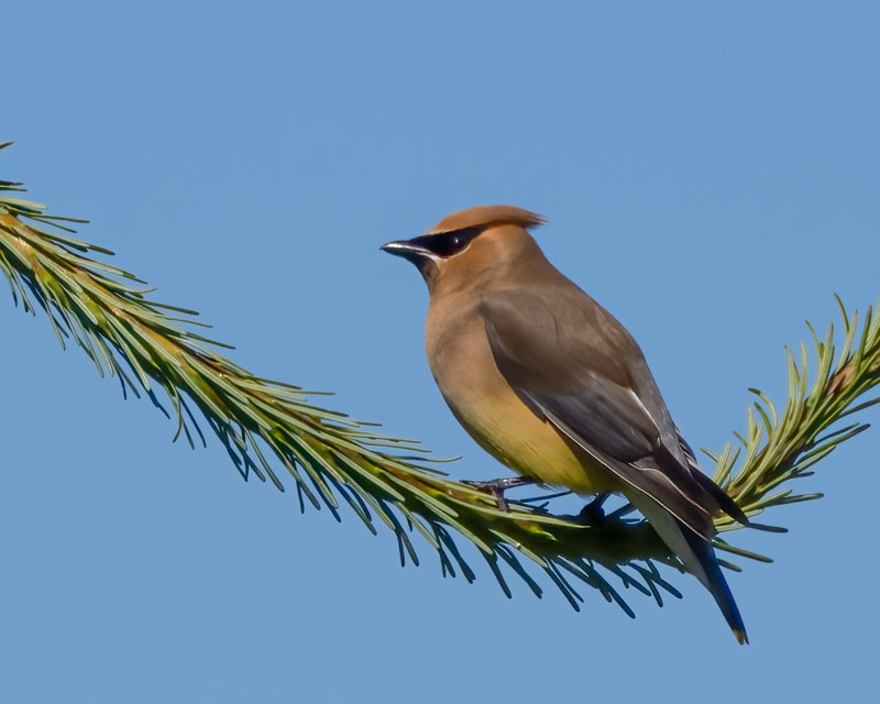 20250610-SJI3-571-Edit.jpg 20250610-SJI3-571-Edit.jpg