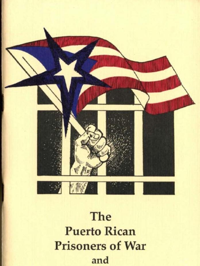 A book cover with a flag and a hand holding a star
Description automatically generated A book cover with a flag and a hand holding a star
Description automatically generated