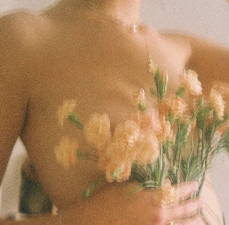 A Pinterest pin added by olivebranch on Jan 09, 2024. The author is Holly Fetters. May present: chest, trunk, plant, flower, petal.