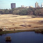 A Portrait of NYC Civic Capacity: the Central Park Conservancy