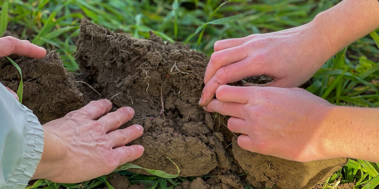 Was ist regenerative Landwirtschaft und wie hilft sie der Bodengesundheit?