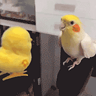 Wake Up Babe, Superseding Indictment Just Dropped. Tabs, Wed., Aug. 28, 2024