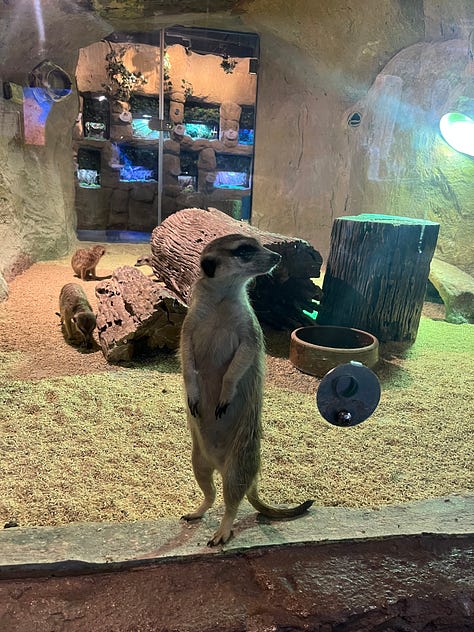 Aquaria KLCC