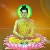 Screaming Into The Void