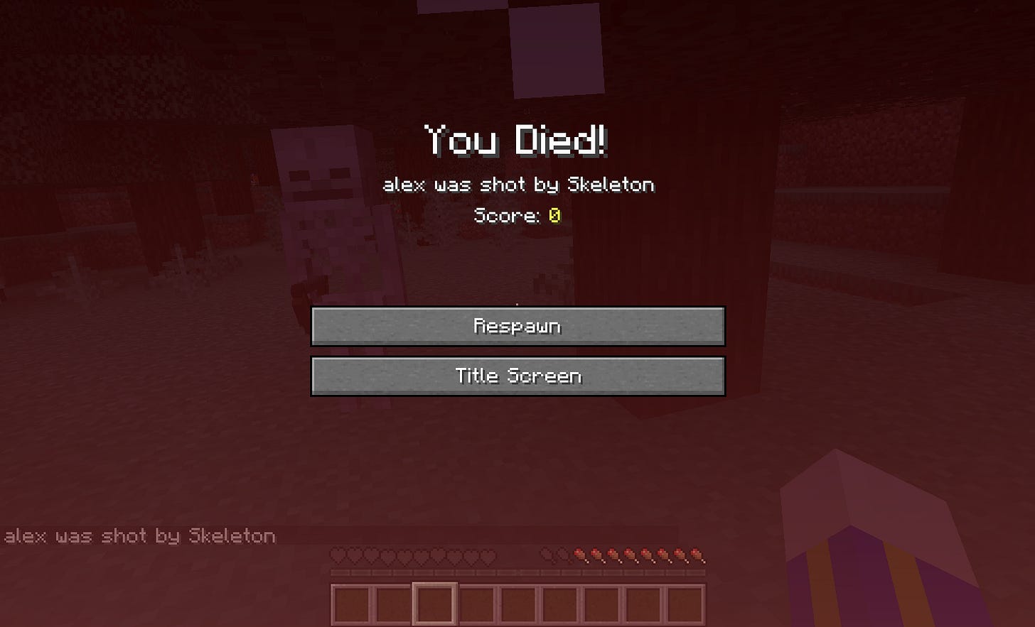 You Died! alex was shot by Skeleton You Died! alex was shot by Skeleton