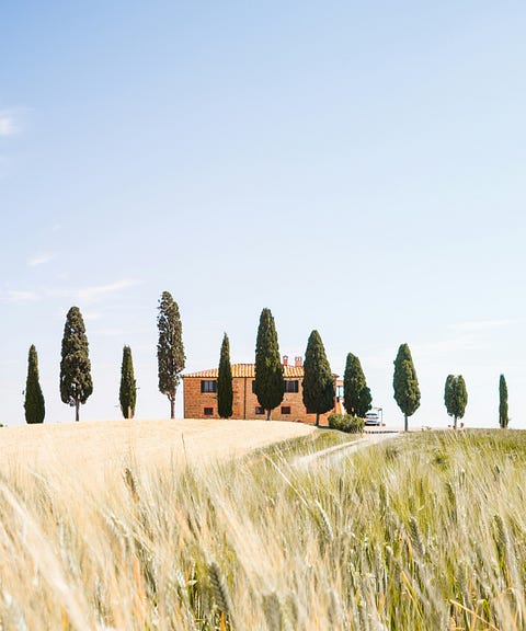 Where Are the Sheep?