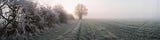 The Fallow Edge