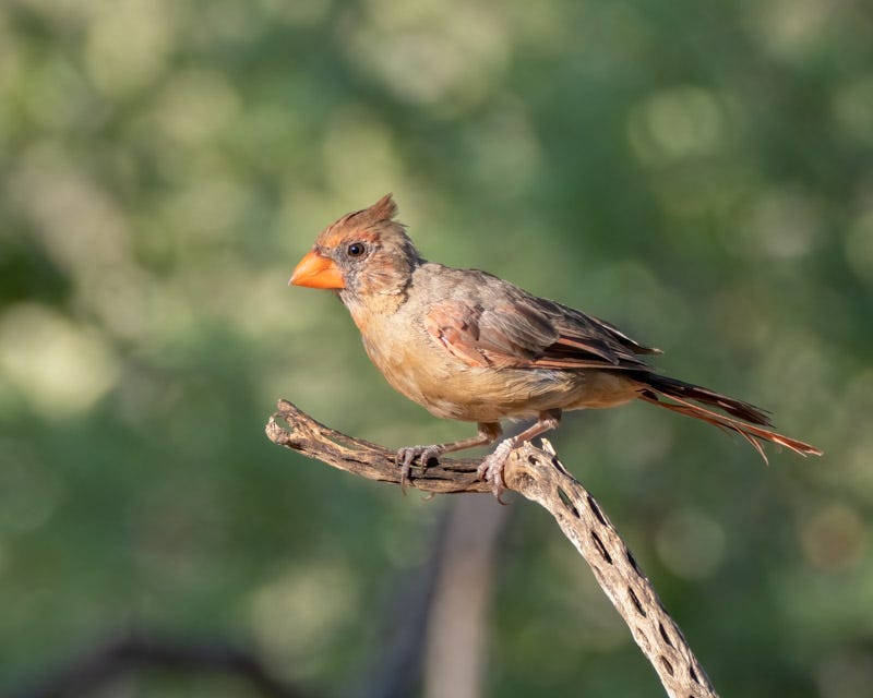 20250911-mby-112-Edit.jpg 20250911-mby-112-Edit.jpg