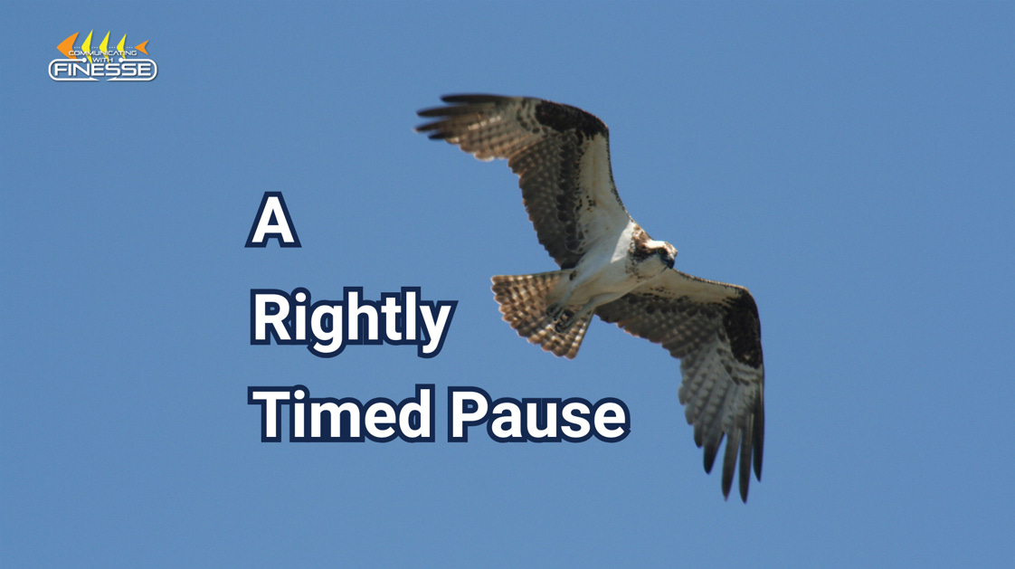 From ospreys to Mark Twain, the value of a rightly timed pause is essential for success.