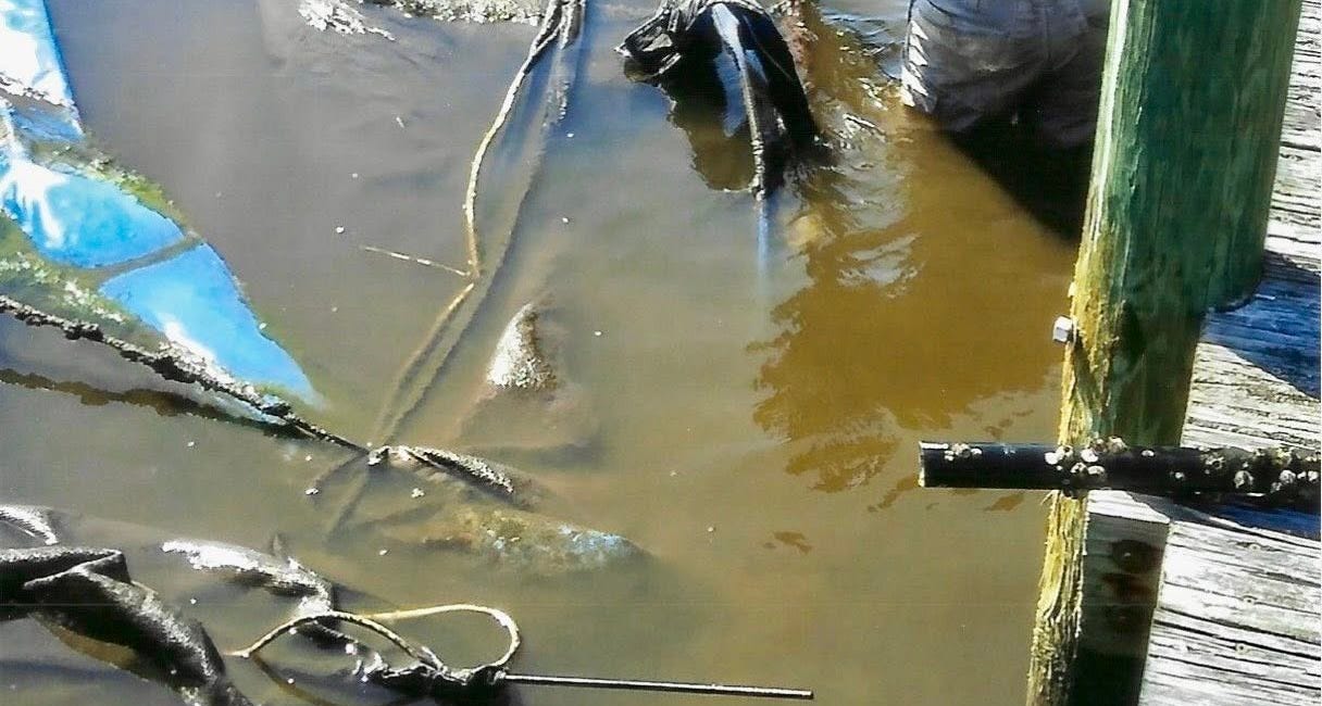 Manatee County Code Enforcement Officers Go Above and Beyond in Community Cleanup Efforts