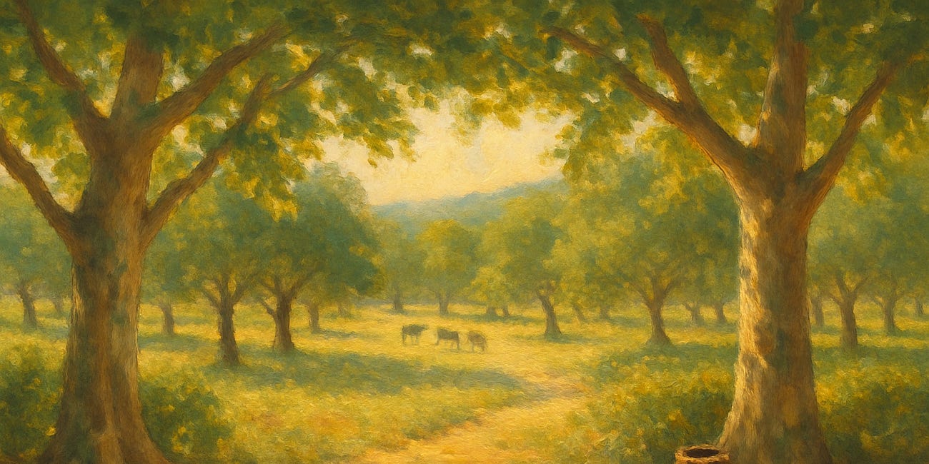 Couleur Locale: THE NAME OF THE LAND