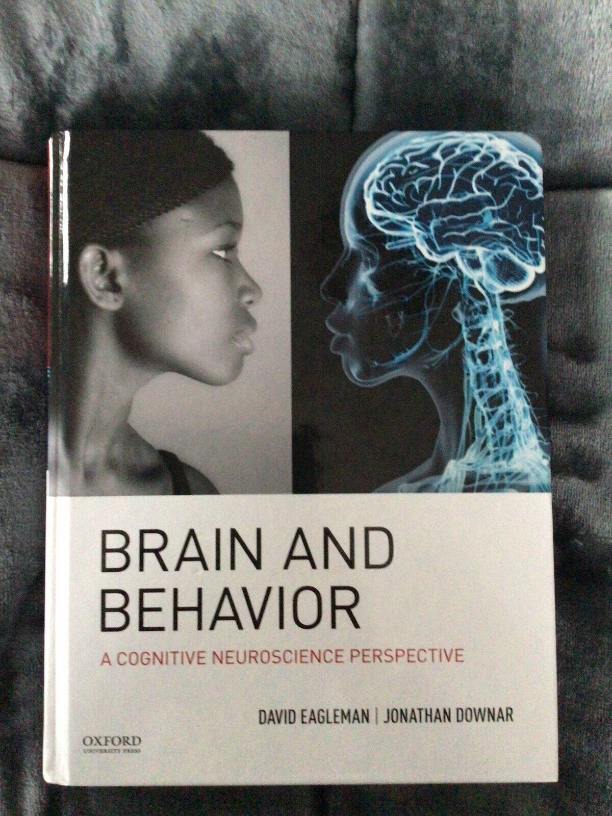 Image 1 - Brain And Behavior A Cognitive Neuroscience Perspective by Eagleman and Downar