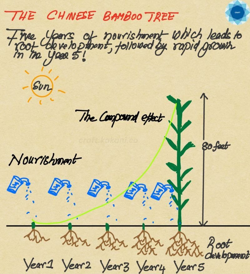 The Power of Invisible Work: The Chinese Bamboo Tree | Chak Kakani posted  on the topic | LinkedIn