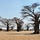 Letter from Africa