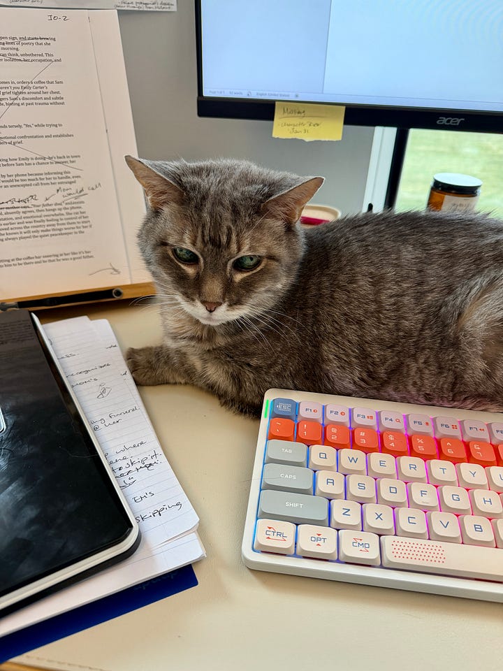Elderly silver tabby cat laying on desk among notebooks and a keyboard (left). Small brown dog laying in my chair (right).