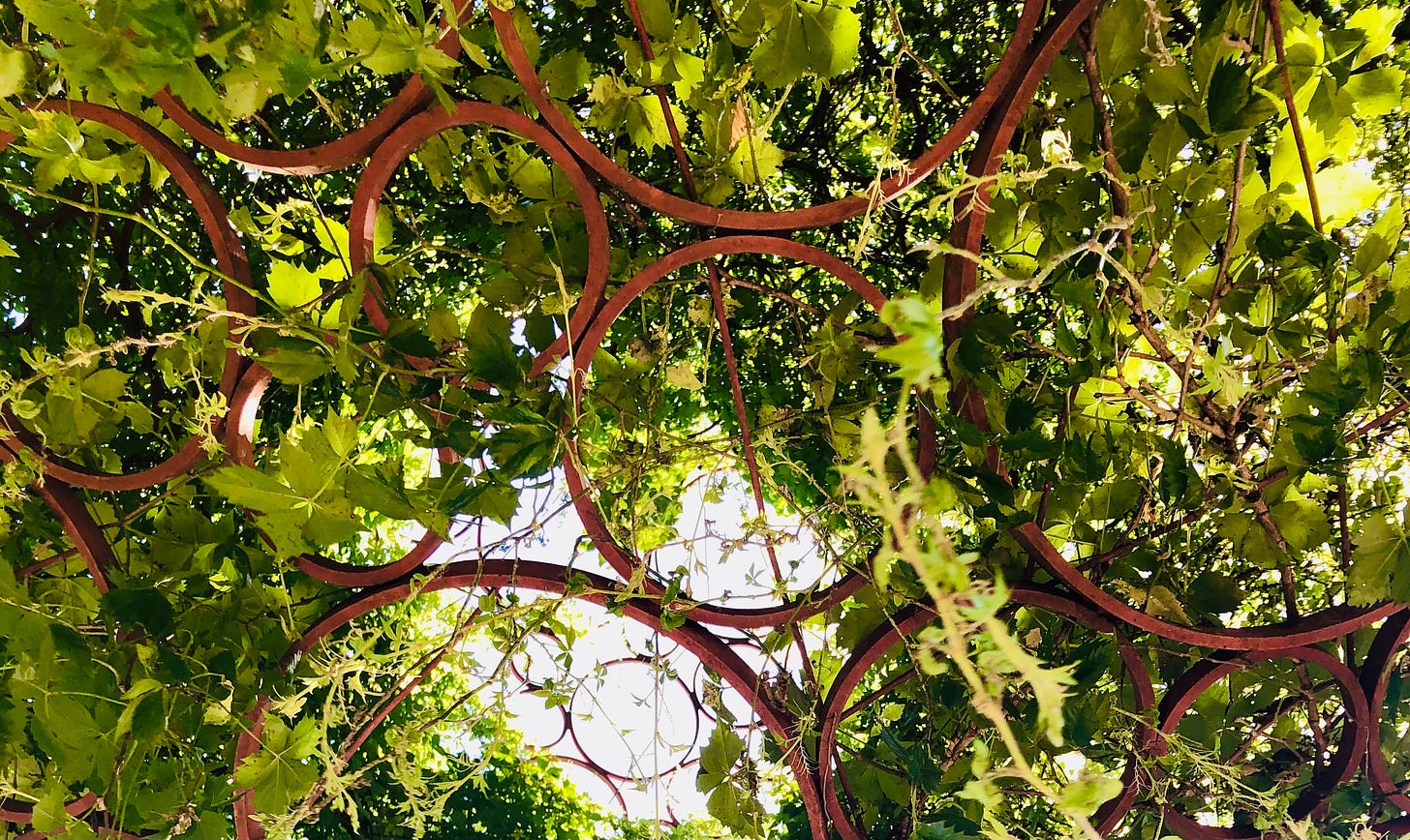 Circles of wrought iron holding a bounty of grape leaves indicating interconnection of life