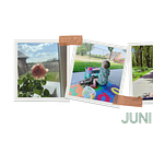Dit was ... juni