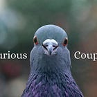 Curious Couple