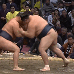 Sumo Stomp! | Tim Bissell | Substack