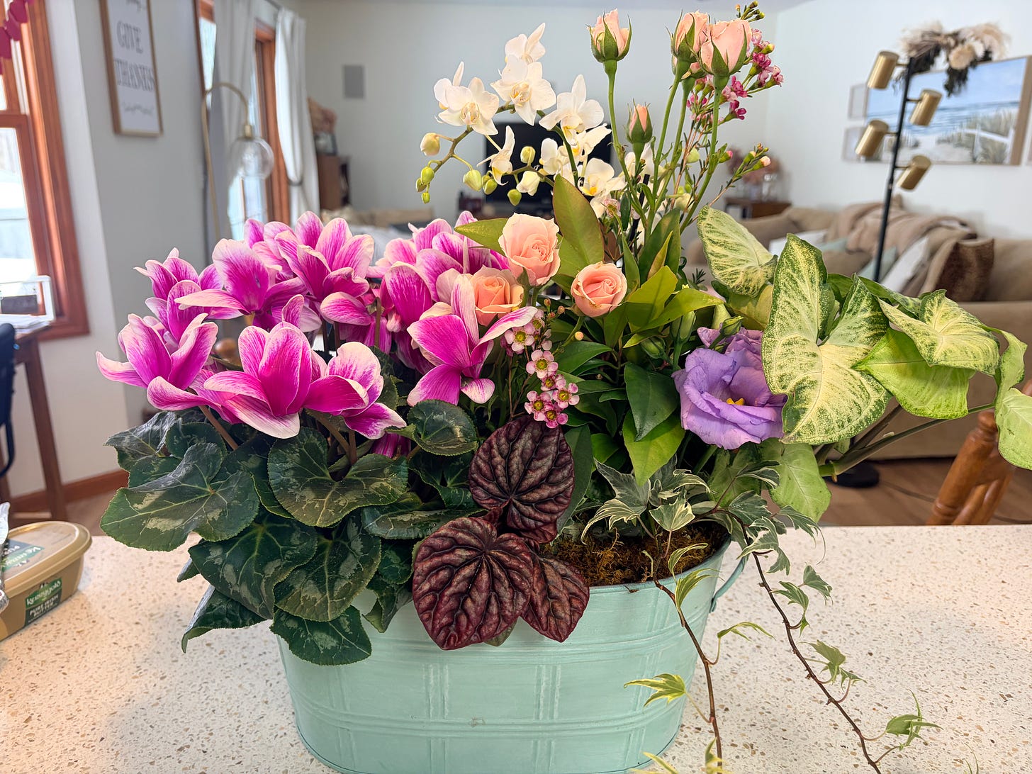 Finding Jesus in a Hard Season: a plantar full of flowers and plants 