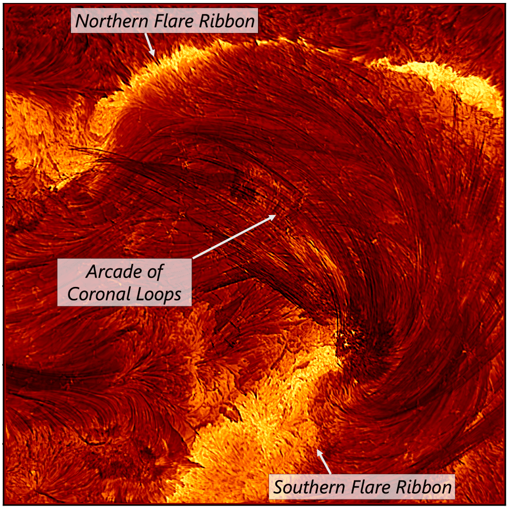 Image haute résolution de l'éruption prise par le télescope solaire Inouye le 8 août 2024 à 20h12 TU. L'image mesure environ quatre fois le diamètre terrestre de chaque côté. Pour plus de clarté, les différentes régions concernées ont été identifiées : les rubans d'éruption (zones brillantes de libération d'énergie dans la basse atmosphère solaire dense) et une arcade de boucles coronales (arcs de plasma délimitant les lignes de champ magnétique qui transportent l'énergie de la couronne vers les rubans d'éruption).