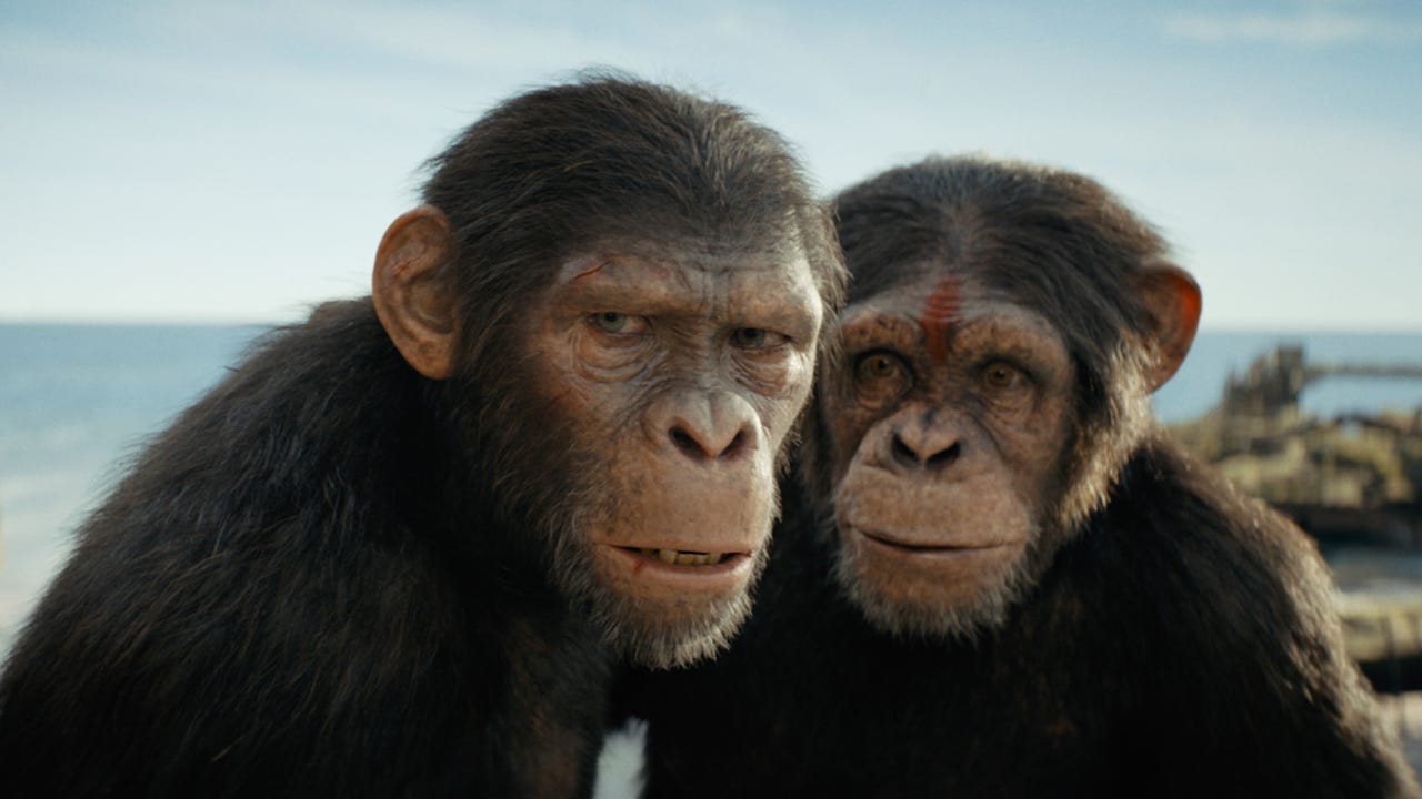 Le trailer de Kingdom of the Planet of the Apes donne un aperçu épique d'un  nouveau monde divisé