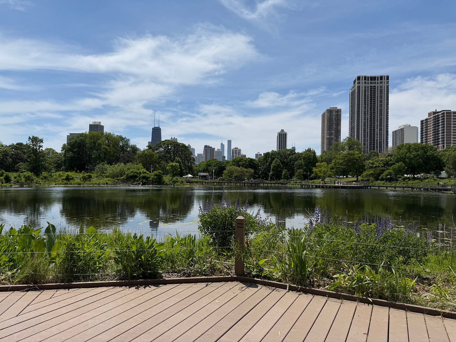 Lincoln Park south pond with the skyline in the background Lincoln Park south pond with the skyline in the background