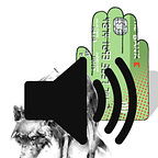 Altered States of Monetary Consciousness