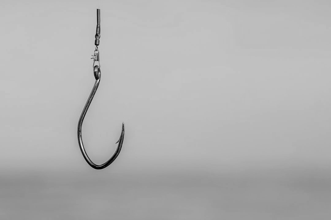 a fishing hook hanging from the side of a boat