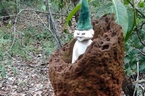 ‘Everything is mystical’: a very important investigation of Maya elves ... ‘Everything is mystical’: a very important investigation of Maya elves ...